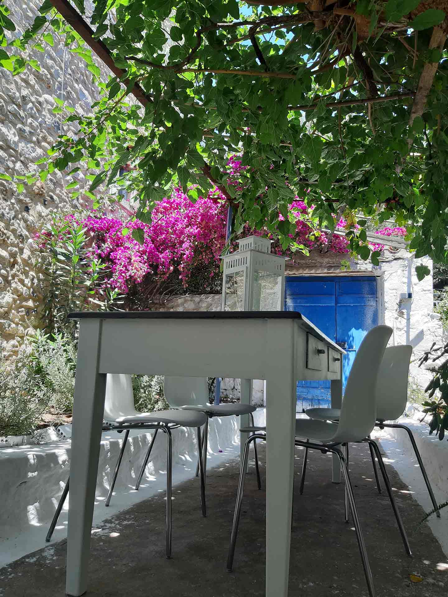 Villa Avli
